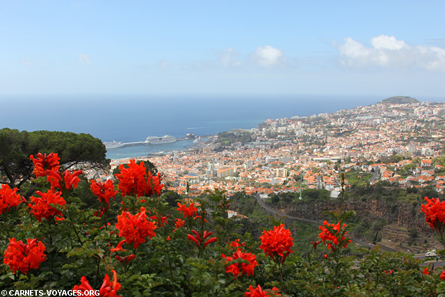 Jardin botanique de Madère (Funchal)