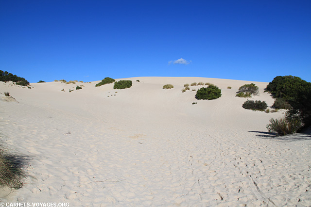 Little Sahara Kangaroo Island Australie